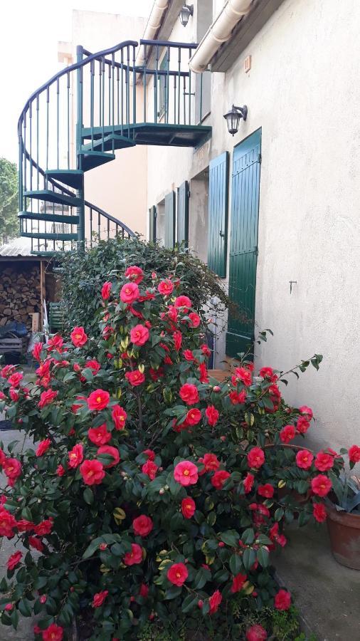 Studio Grau Du Roi Avec Jardin Le Grau-du-Roi Exterior foto